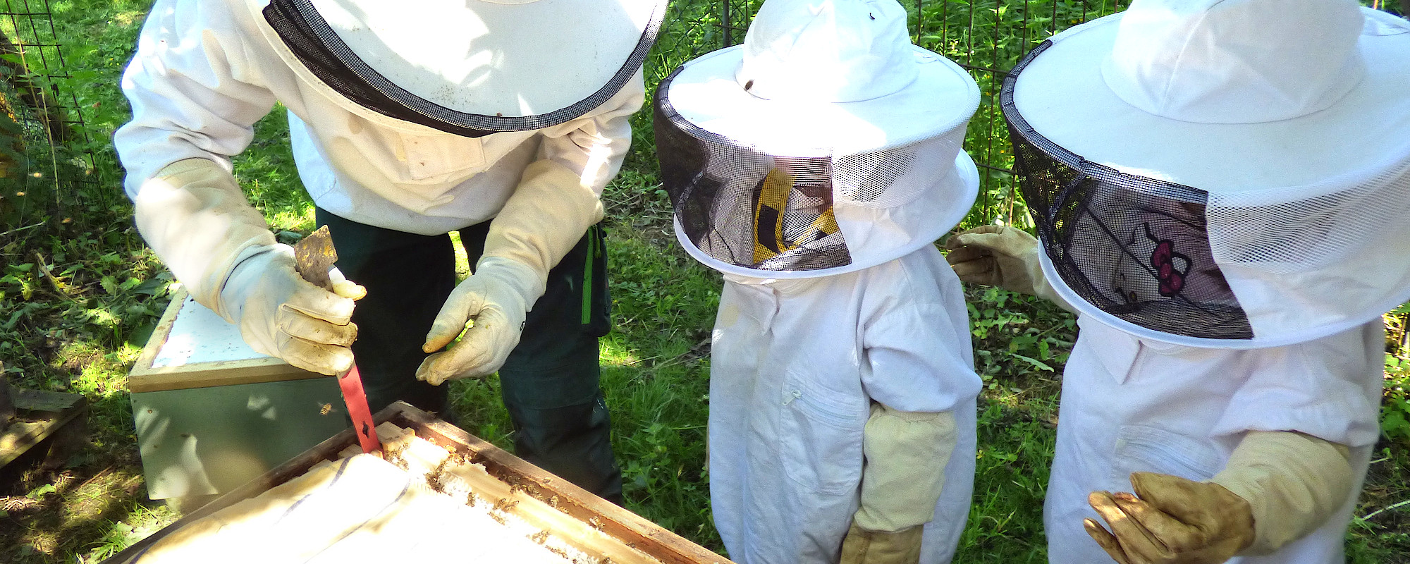 Imker Thorsten beim Kita-Bienenausflug