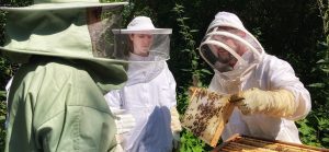 Toto beim Bienen-Coaching am Haus St. Georg im Juli 2021